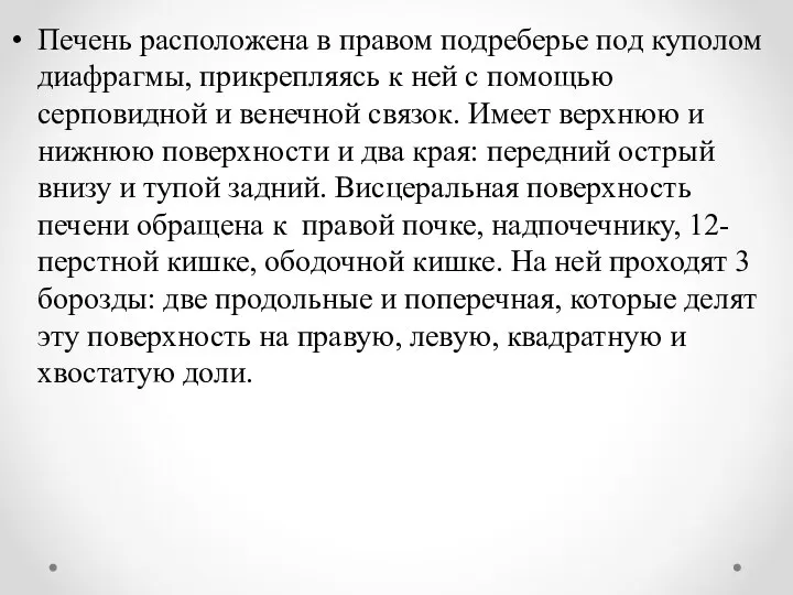 Печень расположена в правом подреберье под куполом диафрагмы, прикрепляясь к ней с