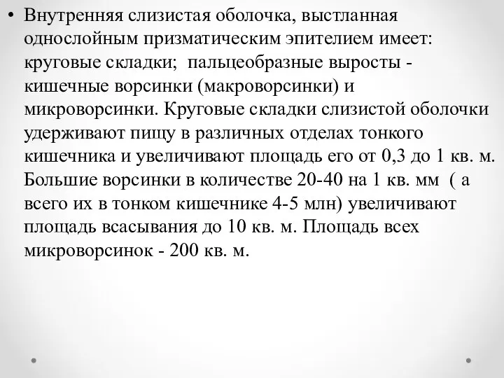 Внутренняя слизистая оболочка, выстланная однослойным призматическим эпителием имеет: круговые складки; пальцеобразные выросты