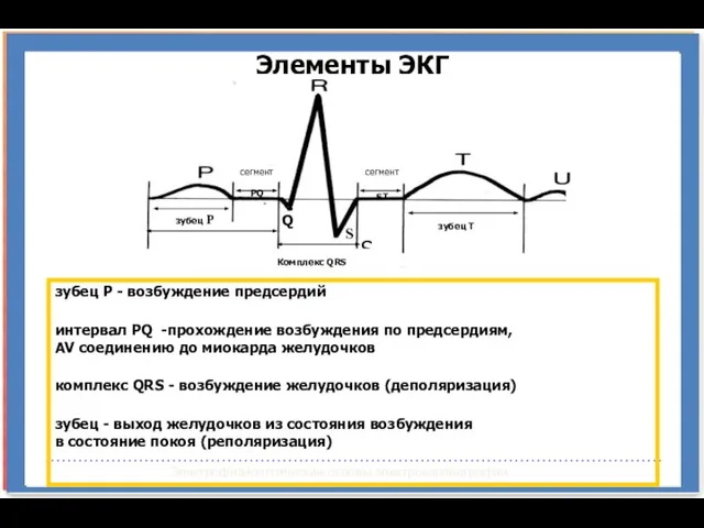 Электрофизиологические основы электрокардиографии Элементы ЭКГ зубец Р - возбуждение предсердий интервал PQ