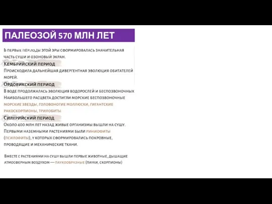 ПАЛЕОЗОЙ 570 МЛН ЛЕТ НАЗАД