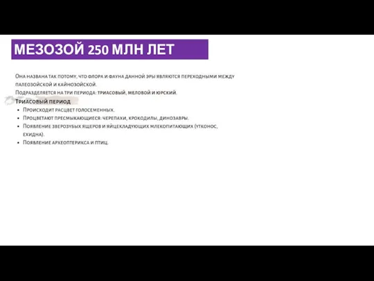 МЕЗОЗОЙ 250 МЛН ЛЕТ НАЗАД