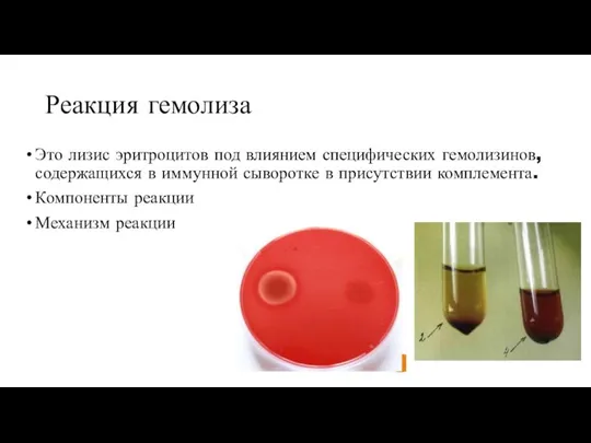 Реакция гемолиза Это лизис эритроцитов под влиянием специфических гемолизинов, содержащихся в иммунной