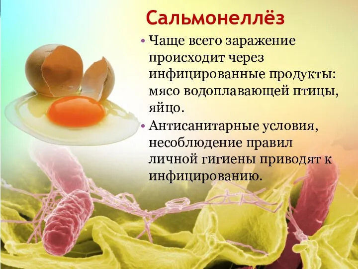 Сальмонеллёз Чаще всего заражение происходит через инфицированные продукты: мясо водоплавающей птицы, яйцо.