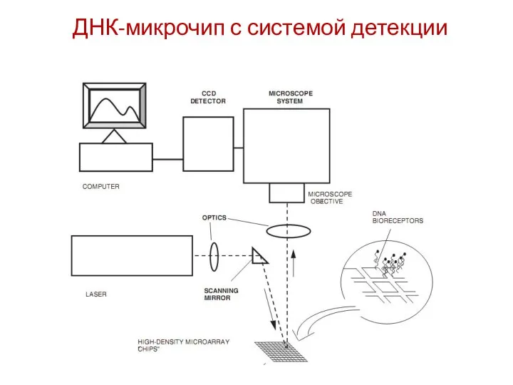 ДНК-микрочип с системой детекции