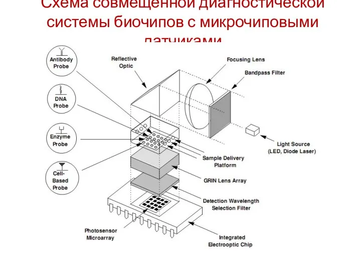 Схема совмещенной диагностической системы биочипов с микрочиповыми датчиками