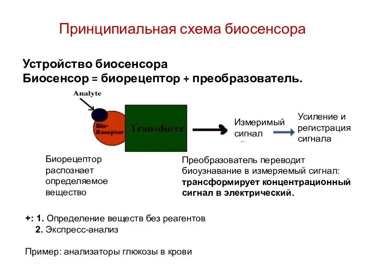 Принципиальная схема биосенсора Устройство биосенсора Биосенсор = биорецептор + преобразователь. Биорецептор распознает