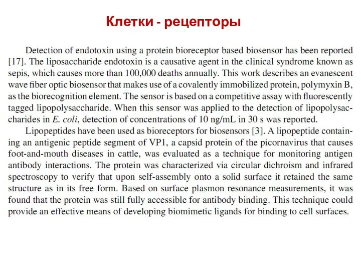 Клетки - рецепторы