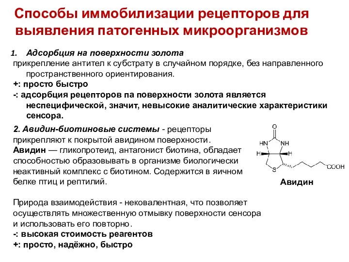 Способы иммобилизации рецепторов для выявления патогенных микроорганизмов Адсорбция на поверхности золота прикрепление