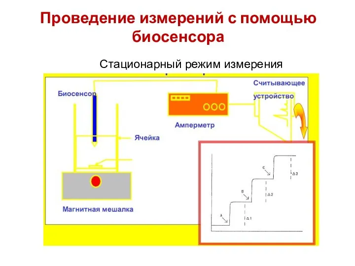 Проведение измерений с помощью биосенсора Стационарный режим измерения