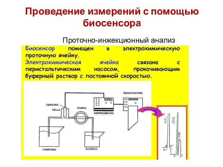 Проведение измерений с помощью биосенсора Проточно-инжекционный анализ