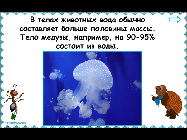 В телах животных вода обычно составляет больше половины массы. Тело медузы, например,