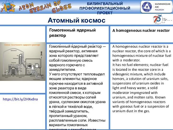 Атомный космос Гомоге́нный я́дерный реа́ктор — ядерный реактор, активная зона которого представляет