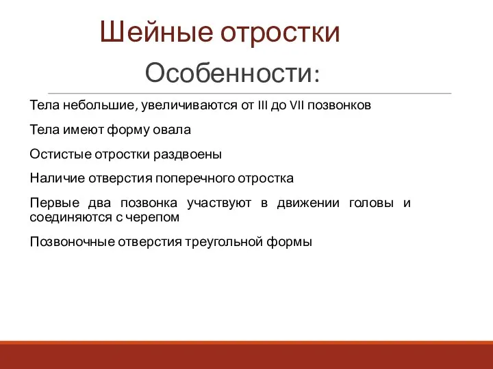 Шейные отростки Особенности: Тела небольшие, увеличиваются от III до VII позвонков Тела