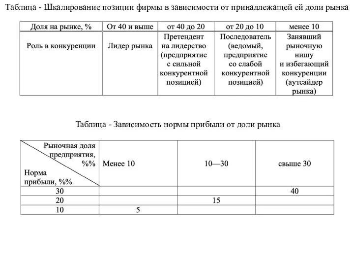 Таблица - Шкалирование позиции фирмы в зависимости от принадлежащей ей доли рынка