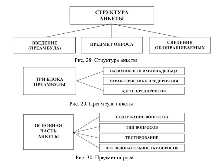 Рис. 28. Структура анкеты Рис. 29. Преамбула анкеты Рис. 30. Предмет опроса