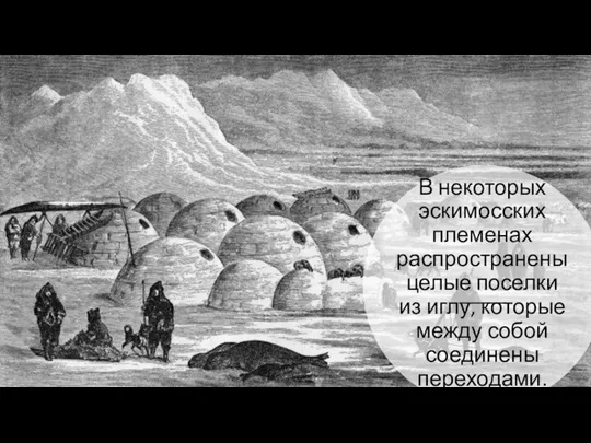 В некоторых эскимосских племенах распространены целые поселки из иглу, которые между собой соединены переходами.