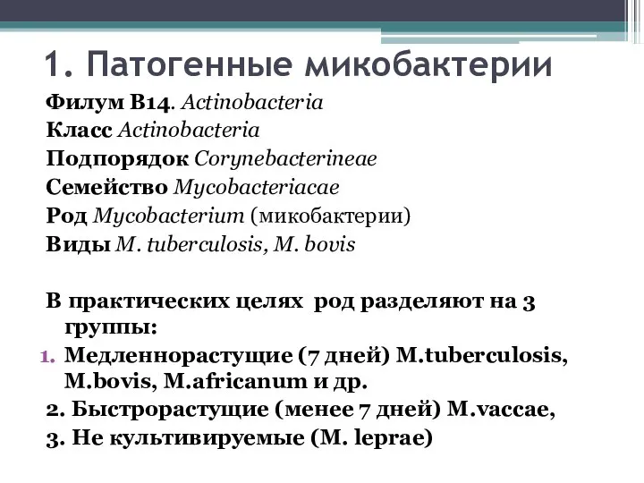 1. Патогенные микобактерии Филум В14. Actinobacteria Класс Actinobacteria Подпорядок Corynebacterineae Семейство Mycobacteriacae