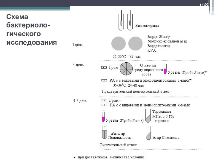 Схема бактериоло-гического исследования