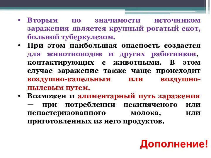 Вторым по значимости источником заражения является крупный рогатый скот, больной туберкулезом. При