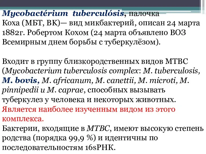 Mycobactérium tuberculósis, палочка Коха (МБТ, BK)— вид микбактерий, описан 24 марта 1882г.