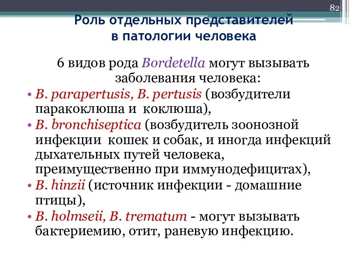 Роль отдельных представителей в патологии человека 6 видов рода Bordetella могут вызывать