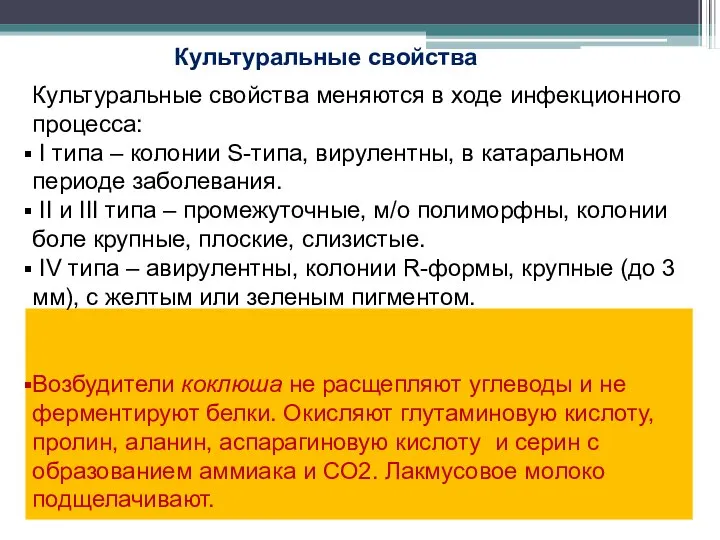 Возбудители коклюша не расщепляют углеводы и не ферментируют белки. Окисляют глутаминовую кислоту,