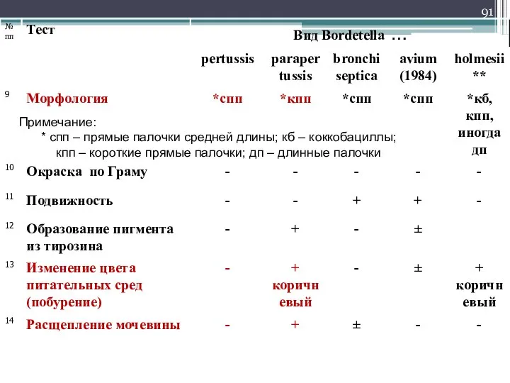 Примечание: * спп – прямые палочки средней длины; кб – коккобациллы; кпп