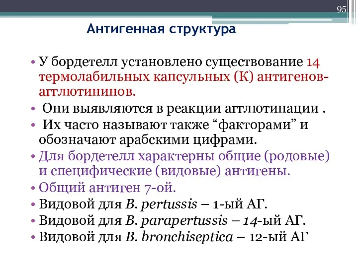 Антигенная структура У бордетелл установлено существование 14 термолабильных капсульных (К) антигенов- агглютининов.