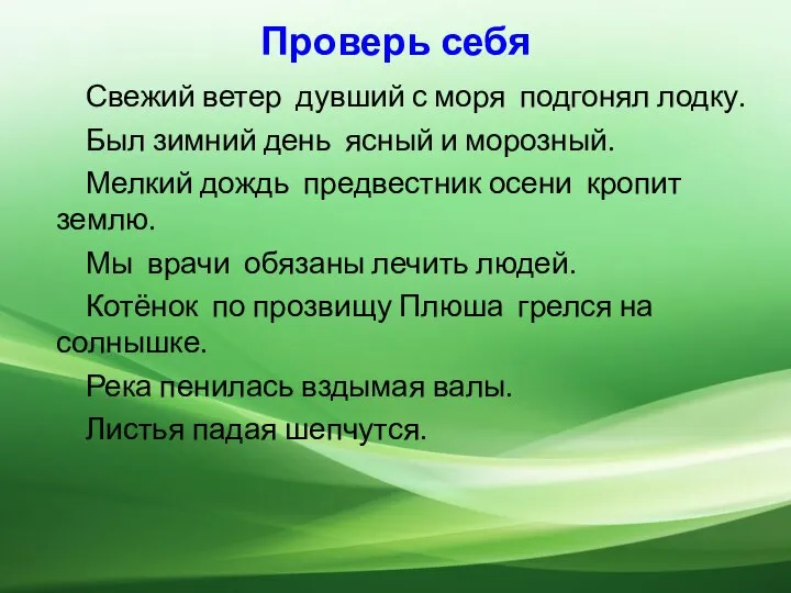 Проверь себя Свежий ветер дувший с моря подгонял лодку. Был зимний день