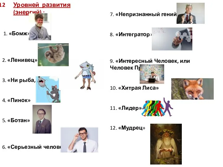 Уровней развития (энергий) : 1. «Бомж» 2. «Ленивец» 3. «Ни рыба, ни