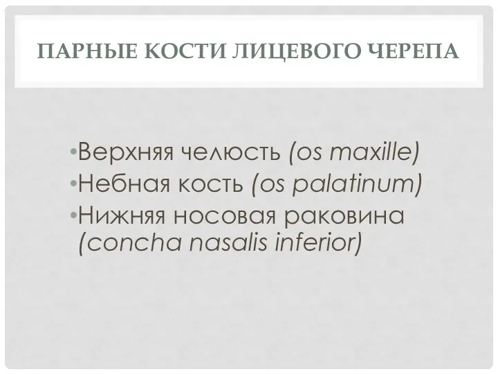 ПАРНЫЕ КОСТИ ЛИЦЕВОГО ЧЕРЕПА Верхняя челюсть (os maxille) Небная кость (os palatinum)