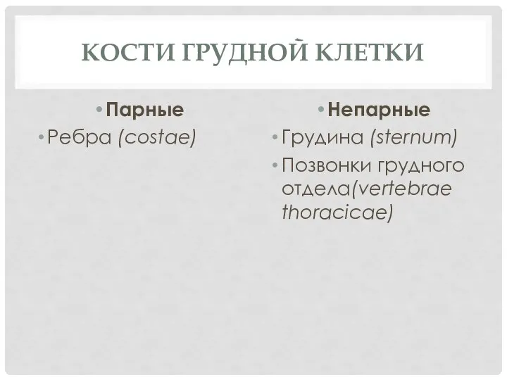 КОСТИ ГРУДНОЙ КЛЕТКИ Парные Ребра (costae) Непарные Грудина (sternum) Позвонки грудного отдела(vertebrae thoracicae)