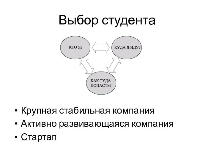 Выбор студента Крупная стабильная компания Активно развивающаяся компания Стартап