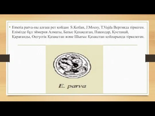 Emeria parva-ны алғаш рет қойдан S.Kotlan, J.Mocsy, T.Vajda Вергияда тіркеген. Елімізде бұл