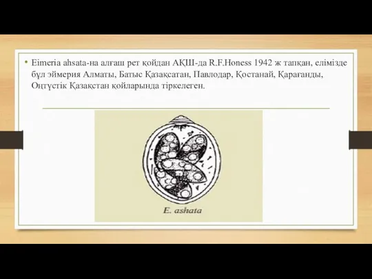 Eimeria ahsata-на алғаш рет қойдан АҚШ-да R.F.Honess 1942 ж тапқан, елімізде бұл