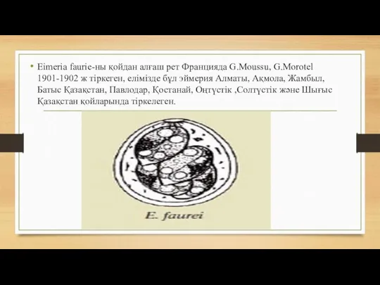 Eimeria faurie-ны қойдан алғаш рет Францияда G.Moussu, G.Morotel 1901-1902 ж тіркеген, елімізде