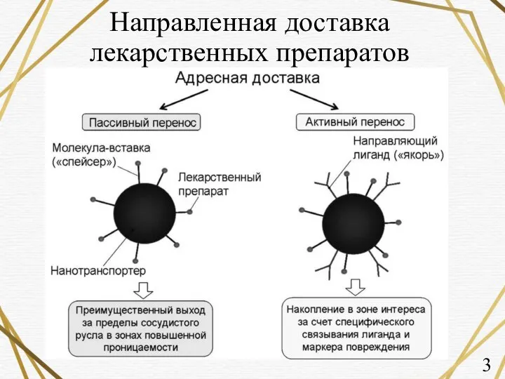 Направленная доставка лекарственных препаратов 3