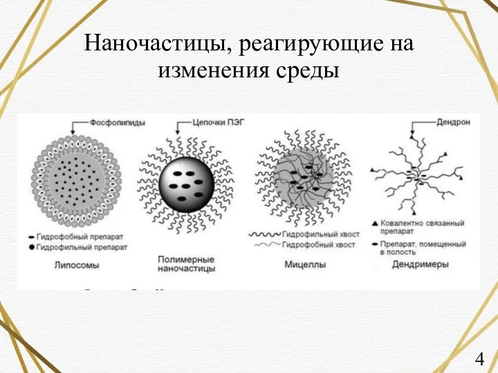 Наночастицы, реагирующие на изменения среды 4