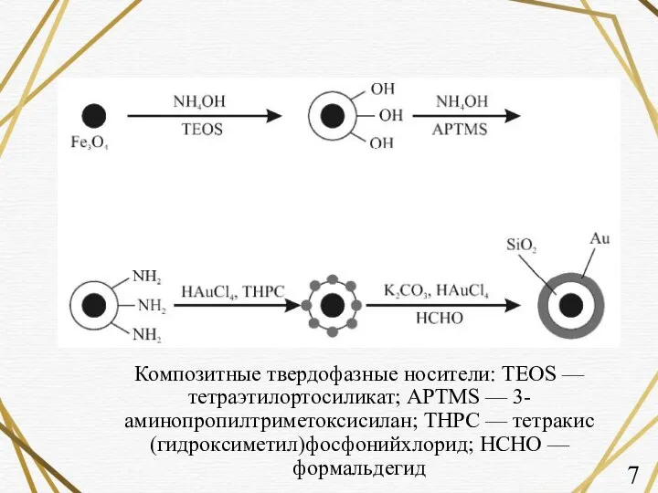 Композитные твердофазные носители: TEOS — тетраэтилортосиликат; APTMS — 3-аминопропилтриметоксисилан; THPC — тетракис(гидроксиметил)фосфонийхлорид; HCHO — формальдегид 7