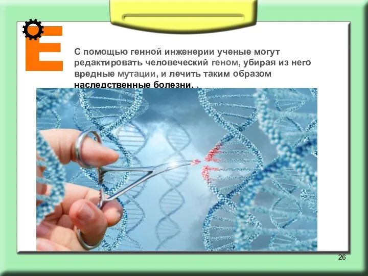 С помощью генной инженерии ученые могут редактировать человеческий геном, убирая из него