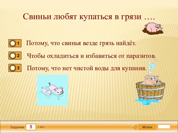 5 Задание Свиньи любят купаться в грязи …. Потому, что свинья везде