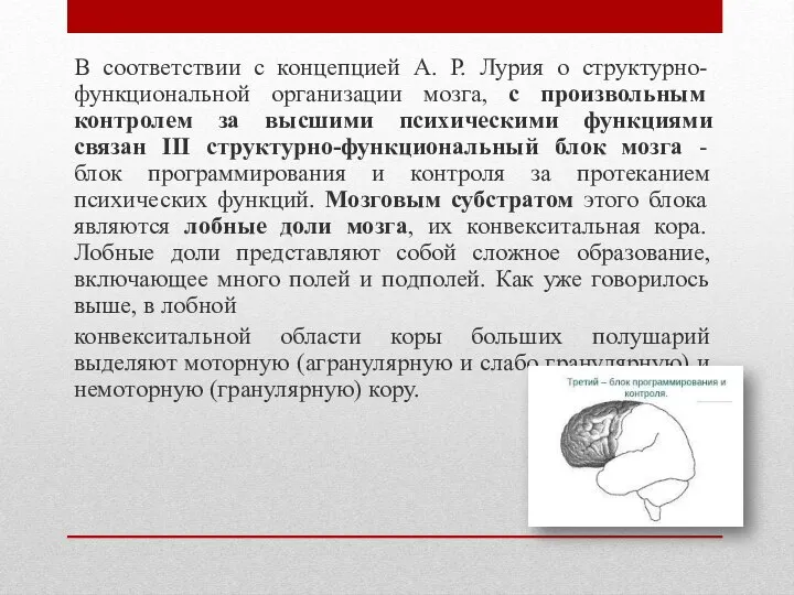 В соответствии с концепцией А. Р. Лурия о структурно-функциональной организации мозга, с