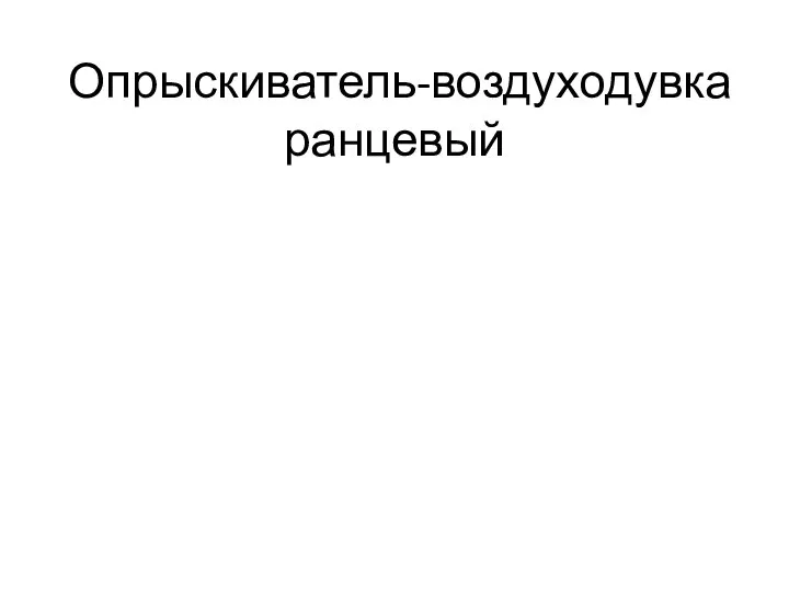 Опрыскиватель-воздуходувка ранцевый