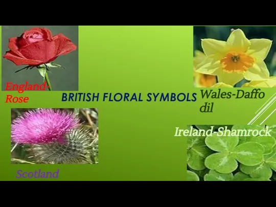 BRITISH FLORAL SYMBOLS England- Rose Scotland -Thisle Wales-Daffodil Ireland-Shamrock