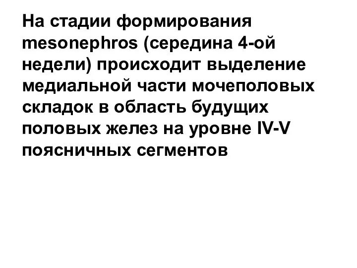 На стадии формирования mesonephros (середина 4-ой недели) происходит выделение медиальной части мочеполовых