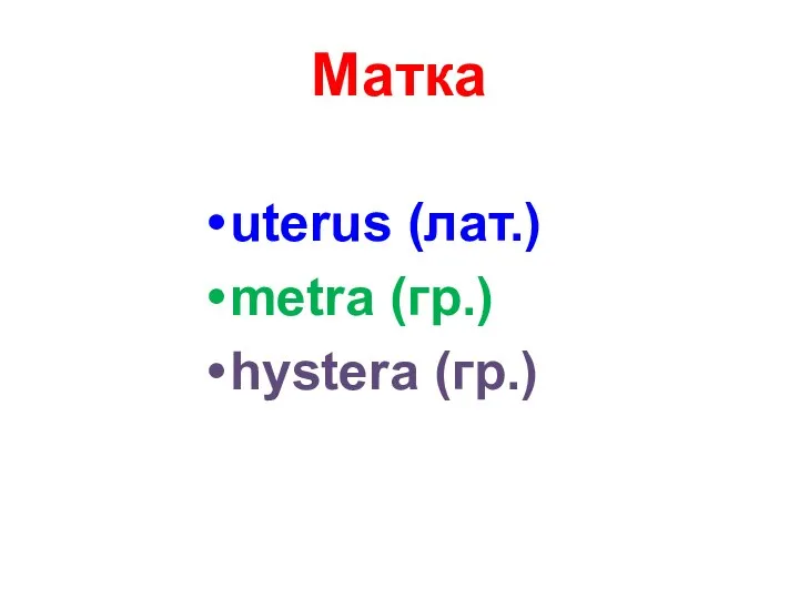 Матка uterus (лат.) metra (гр.) hystera (гр.)