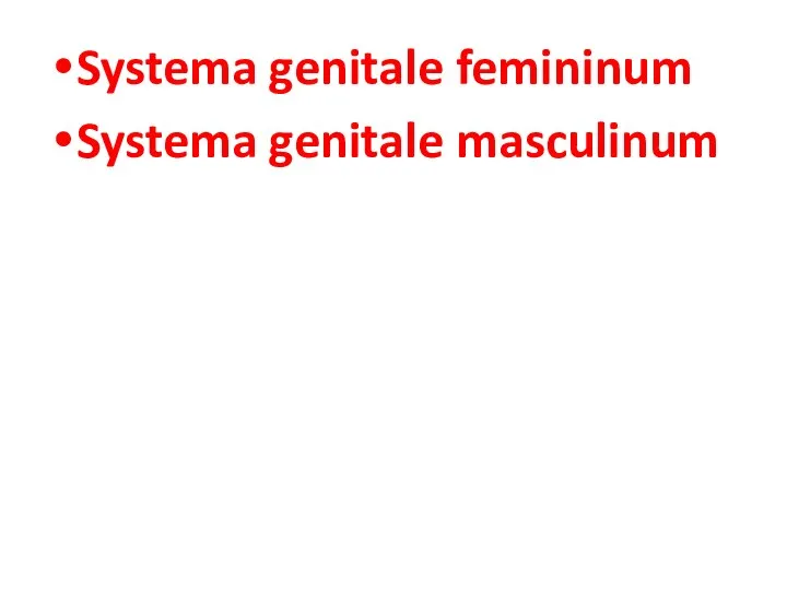 Systema genitale femininum Systema genitale masculinum