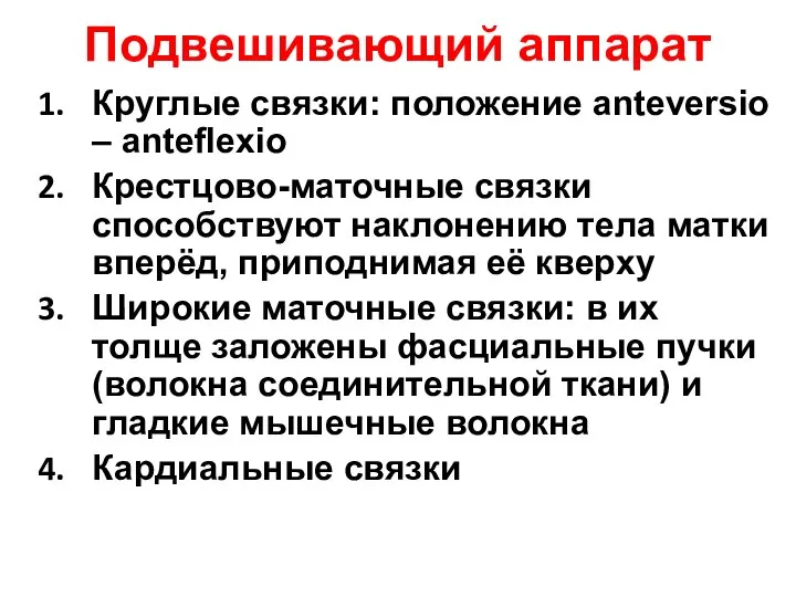 Подвешивающий аппарат Круглые связки: положение anteversio – anteflexio Крестцово-маточные связки способствуют наклонению