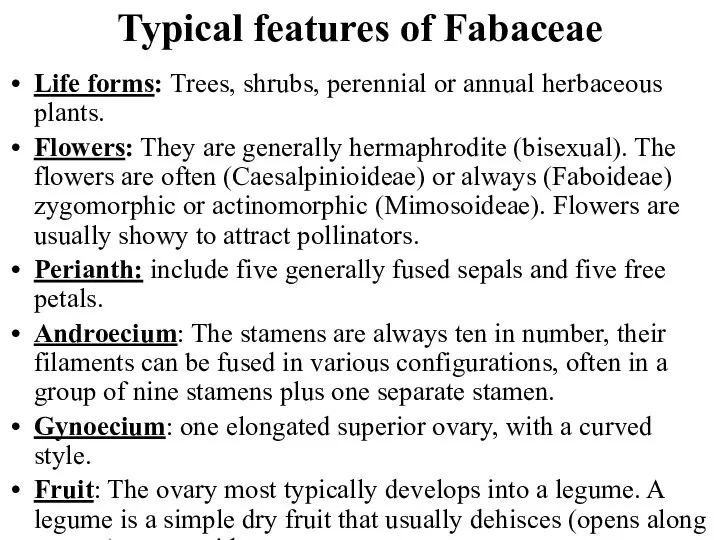 Typical features of Fabaceae Life forms: Trees, shrubs, perennial or annual herbaceous