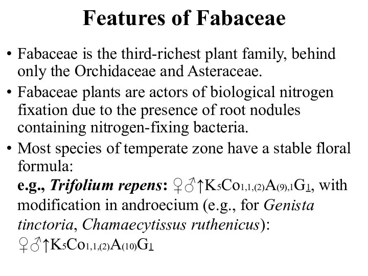 Features of Fabaceae Fabaceae is the third-richest plant family, behind only the